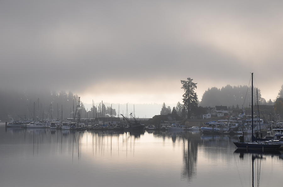 Harbor at Dawn 1 Photograph by Tatyana Searcy