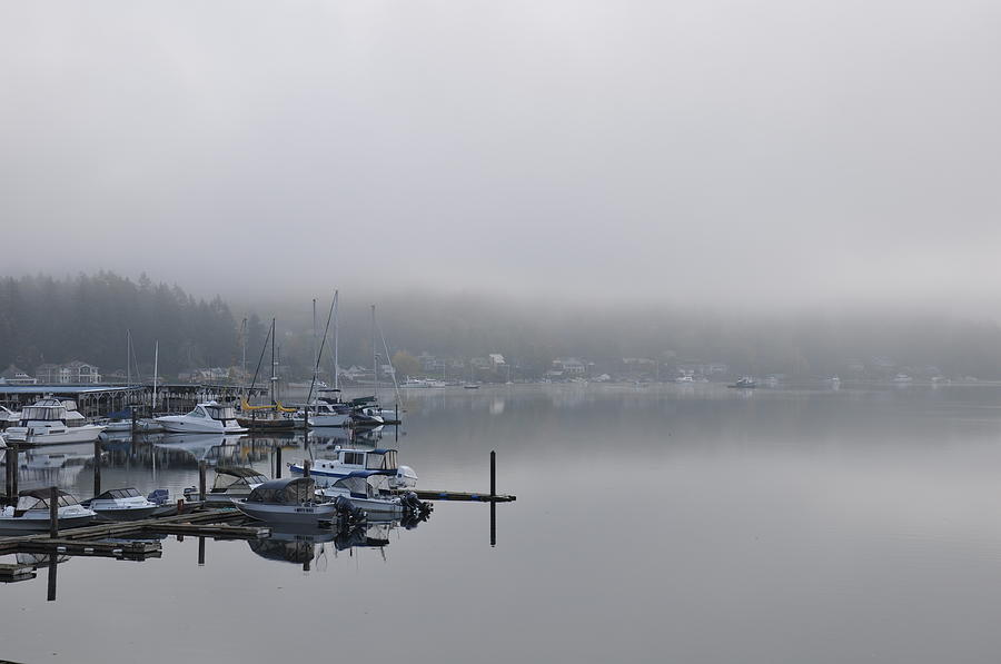 Harbor at Dawn 3 Photograph by Tatyana Searcy
