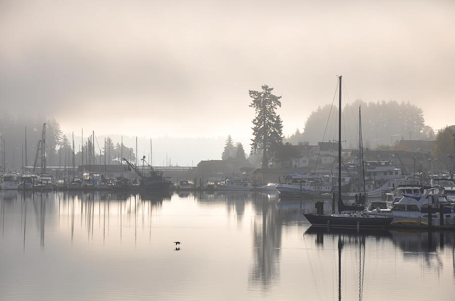 Harbor at Dawn 5 Photograph by Tatyana Searcy