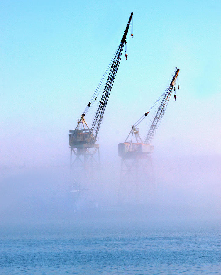 Harbor Fog with Cranes Photograph by Joe Schofield