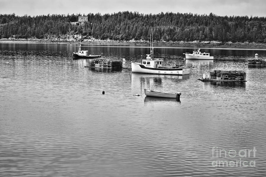 Harbor in Black and white Photograph by Traci Cottingham