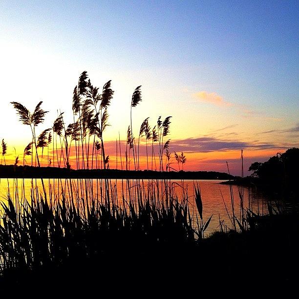 Sunset Photograph - Harbor View by Katie Destefano