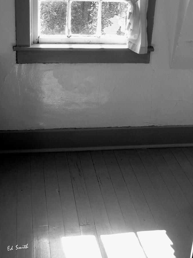 Hardwoods and Plaster Photograph by Edward Smith
