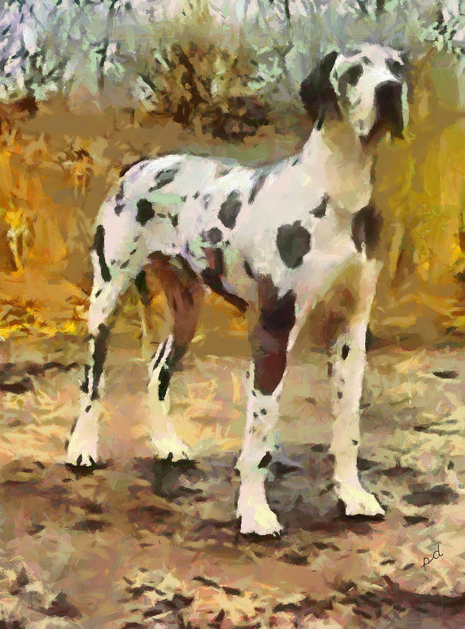 Harlequin Great Dane - Zeus Painting by Doggy Lips