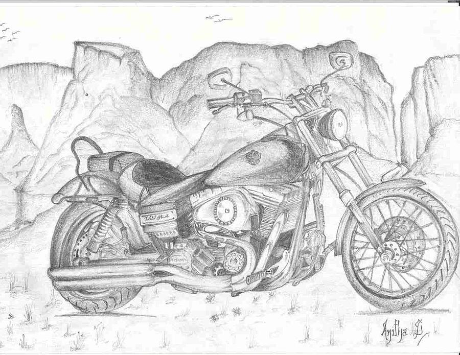 The Wild Side - Harley Davidson Drawing PNG Image | Transparent PNG Free  Download on SeekPNG