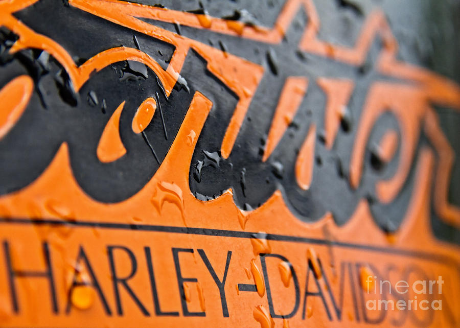 American Photograph - Harley Davidson Logo by Stelios Kleanthous American Photograph - Harley Davidson Logo by Stelios Kleanthous