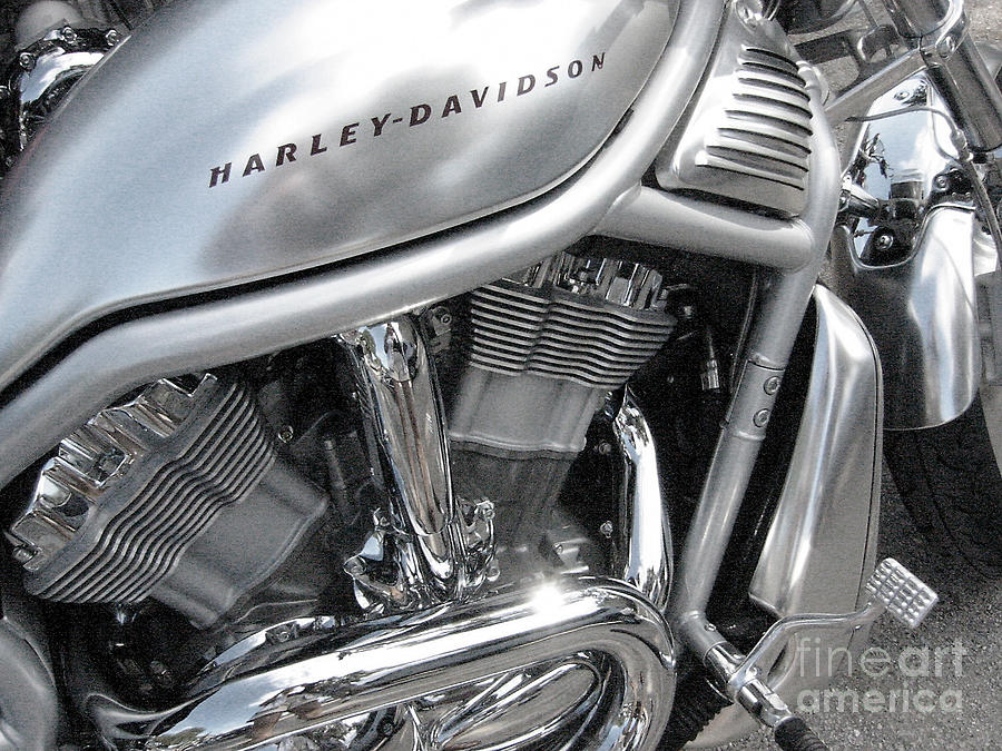 Harley Metal Photograph By Judee Stalmack