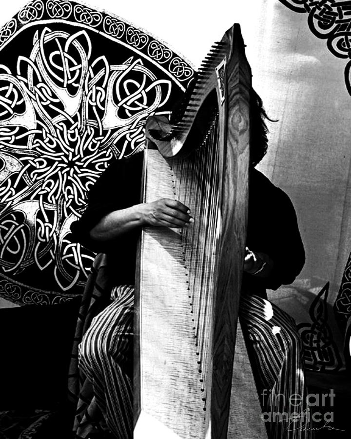 Harp Player Photograph by Danuta Bennett