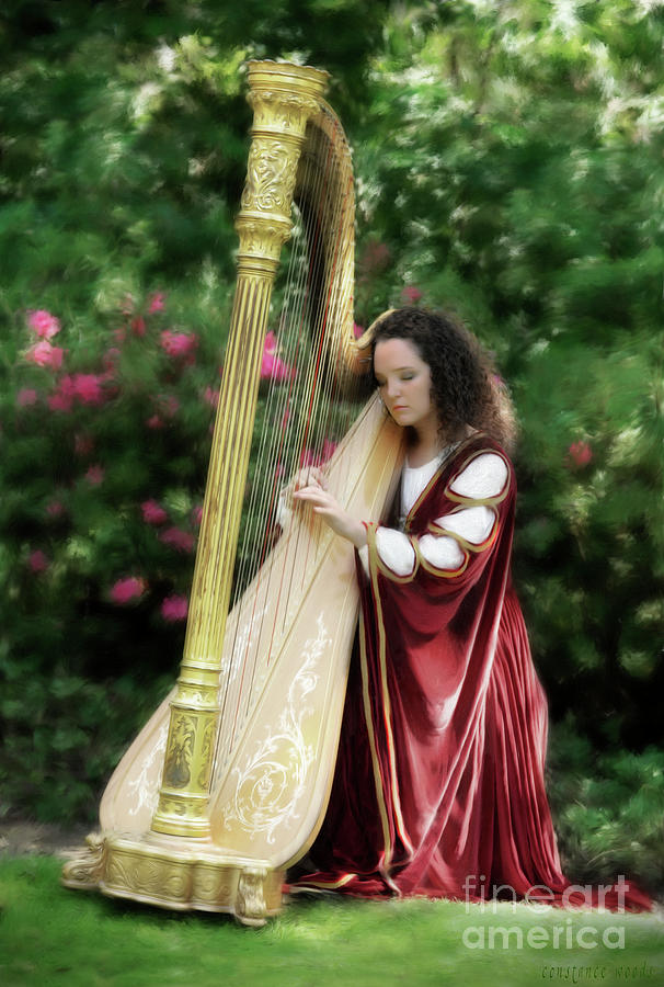 Harp Serenade In The Garden 1 Photograph by Constance Woods