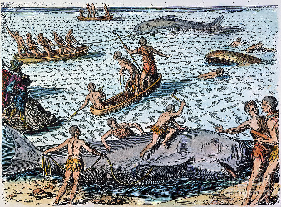 HARPOONING WHALES, c1590 Photograph by Granger HARPOONING WHALES, c1590 Photograph by Granger