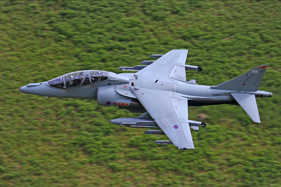 Harrier Low Level Photograph by Ken Brannen Pixels