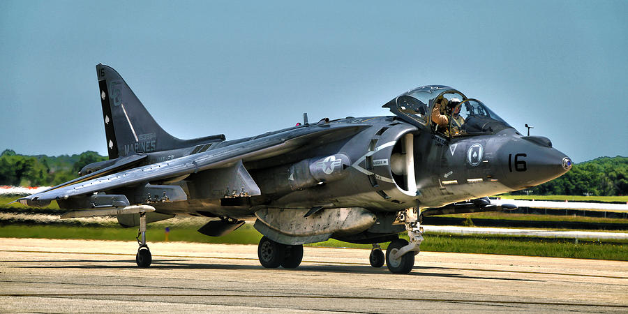 Harrier Photograph by Mitch Cat