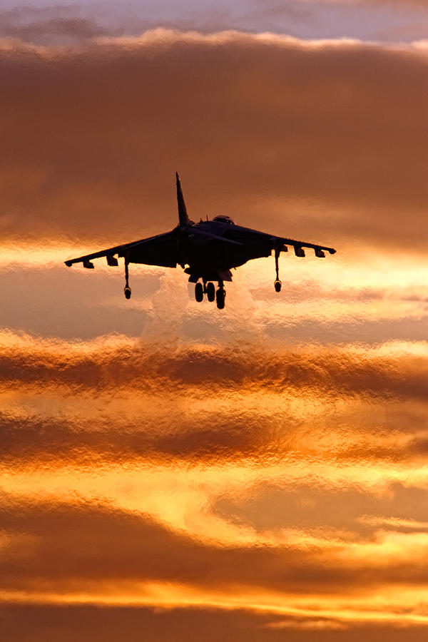Harrier Sunset Photograph