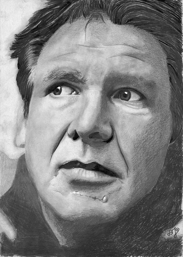 Harrison Ford Drawing by Bianca Ferrando - Fine Art America