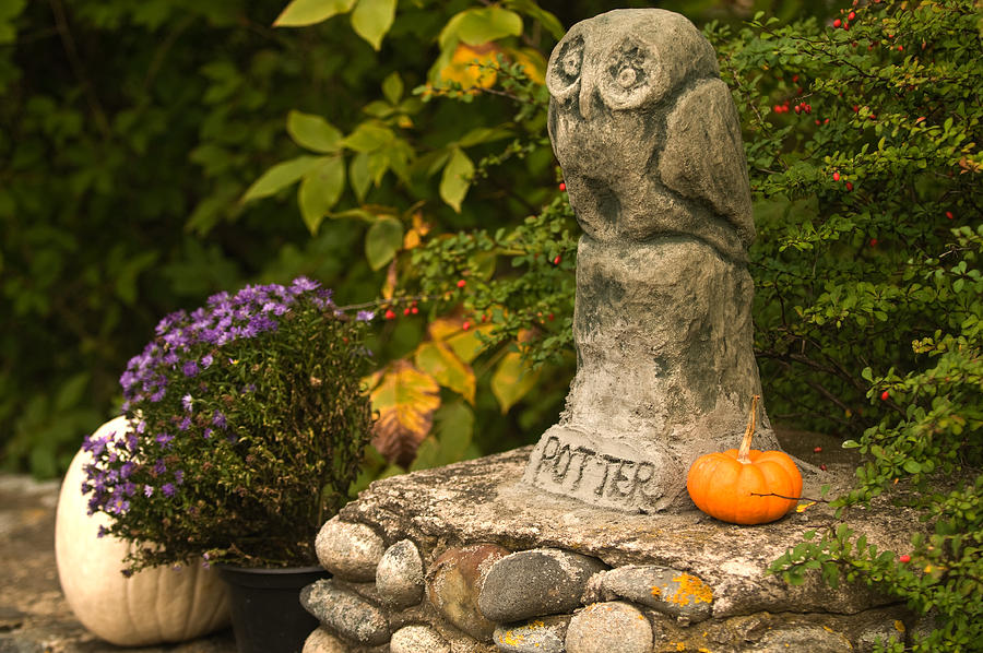 Harry Potter Photograph by Paul Mangold Fine Art America