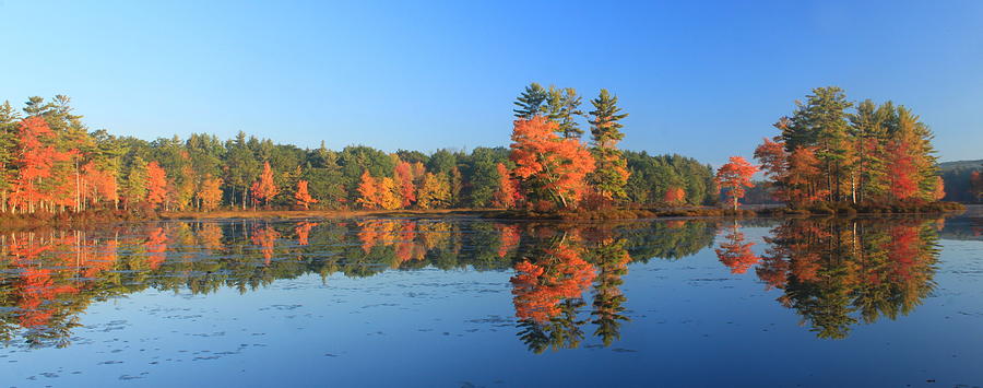 Harvard Pond Foliage Panorama Photograph by John Burk
