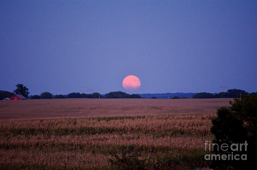 Harvest Moon I Photograph by Sue Stefanowicz