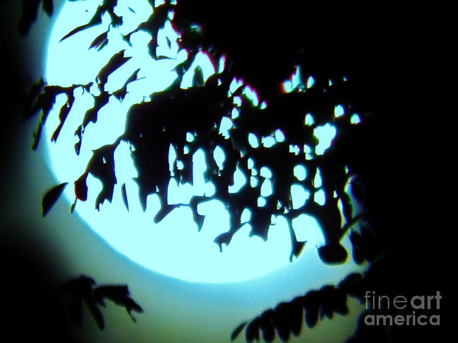 Harvest Moon in Blue Photograph by Judy Via-Wolff