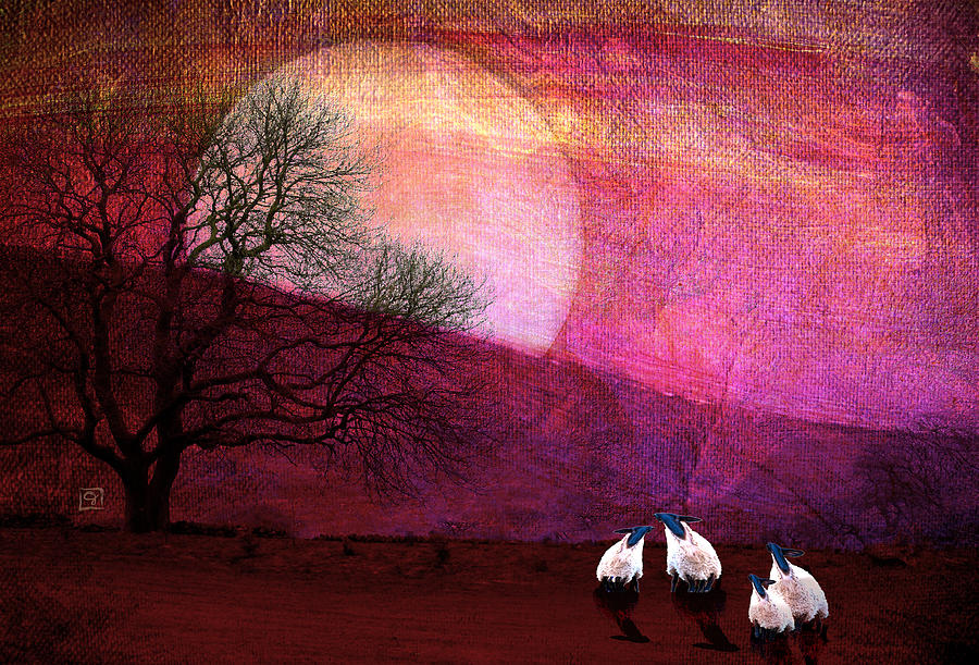 Harvest Moon Sheep Digital Art by Jean Moore