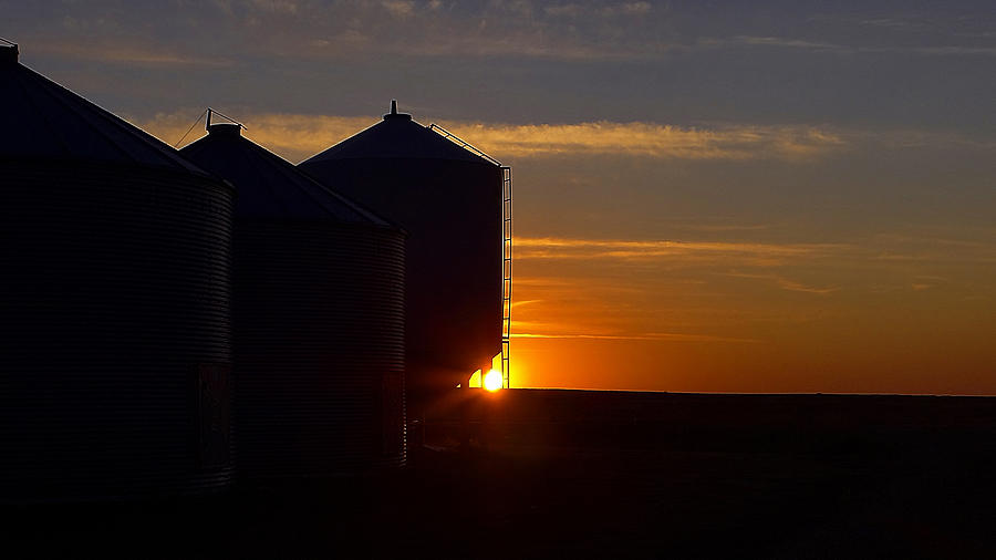 Harvest Sunrise Photograph by Blair Wainman