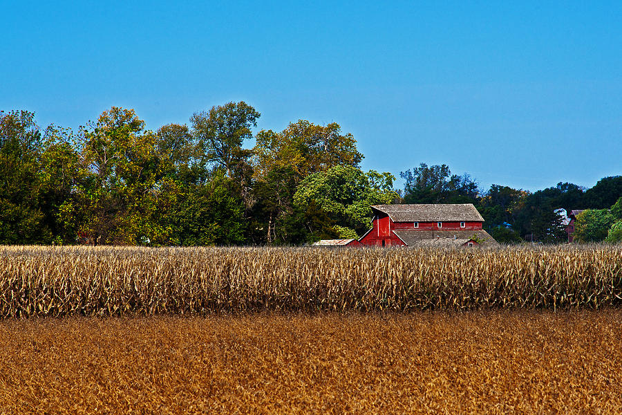Harvest Time Photograph by Ed Peterson