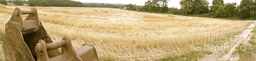 Harvest Time Photograph