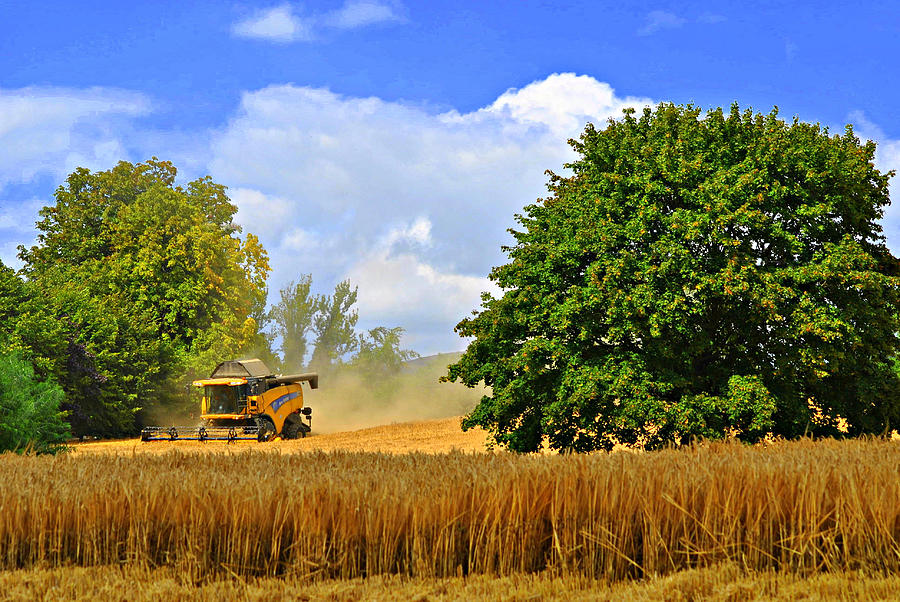 Harvesting Photograph by Joe Ormonde