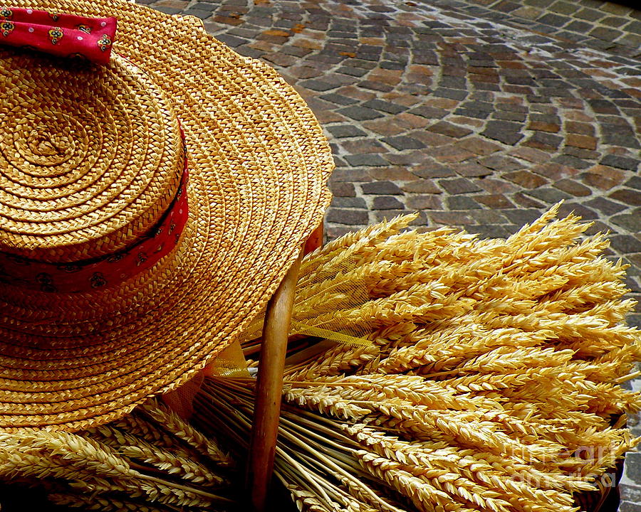 Hat and Wheat Photograph by Lainie Wrightson
