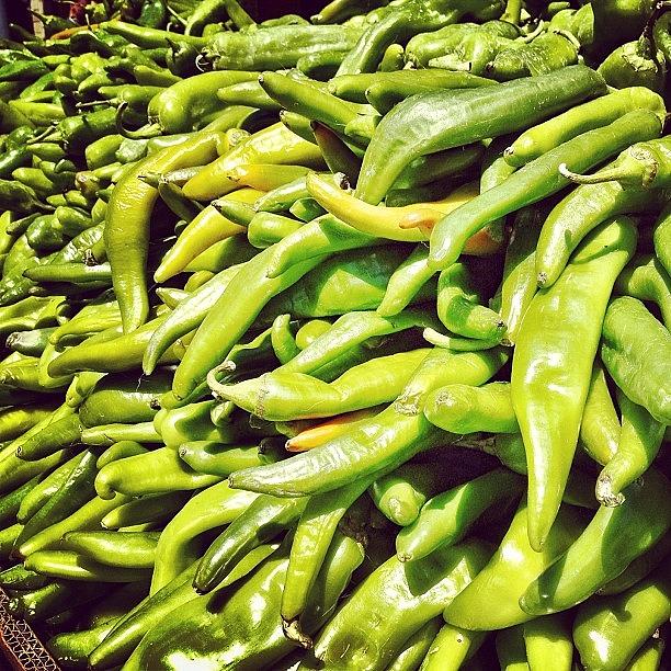 Hatch It Up! New Mexico Chile Style Photograph by Christopher Leon