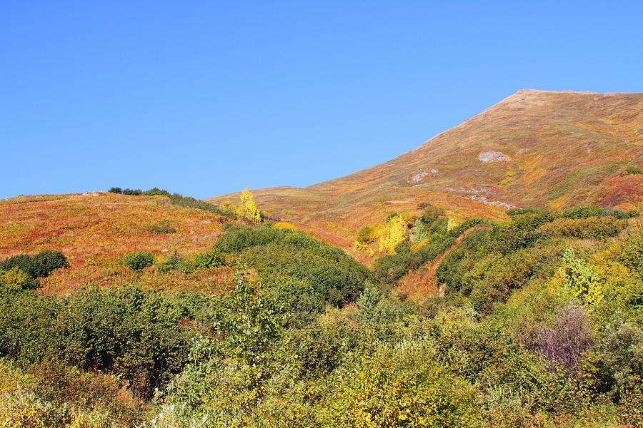 Hatcher Pass Fall Photograph By Doug Lloyd Fine Art America