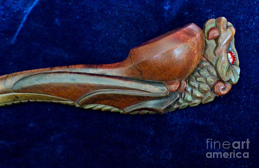 Dragon Photograph - Hatchling Dragon Wing and Bowl by Padre Art