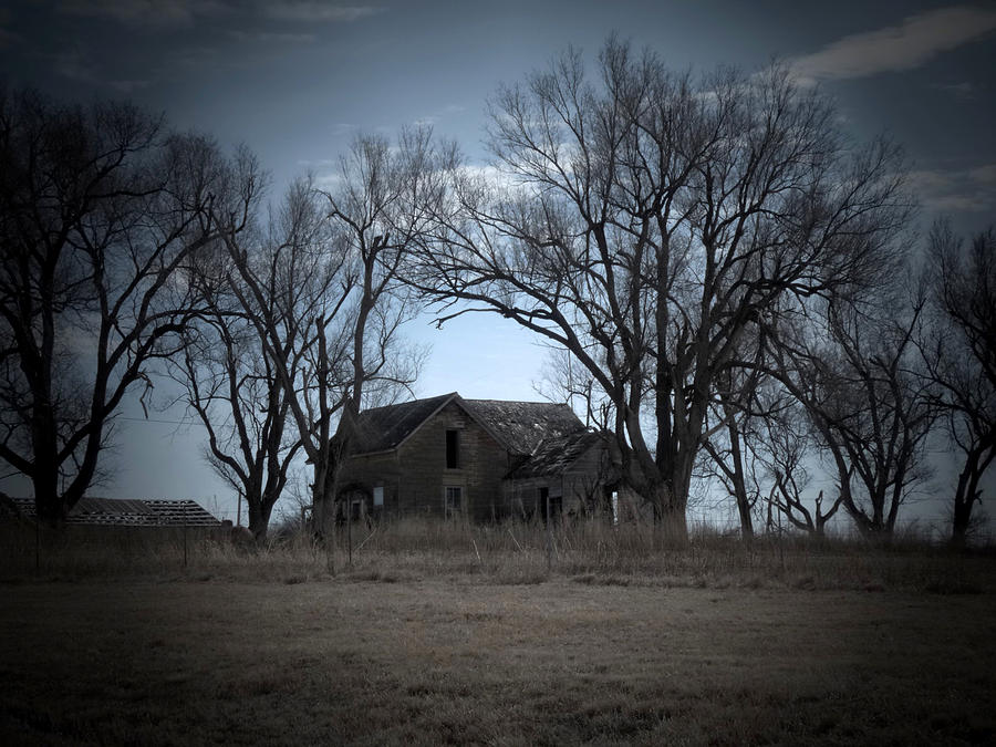 Haunted House Photograph by Terry Eve Tanner