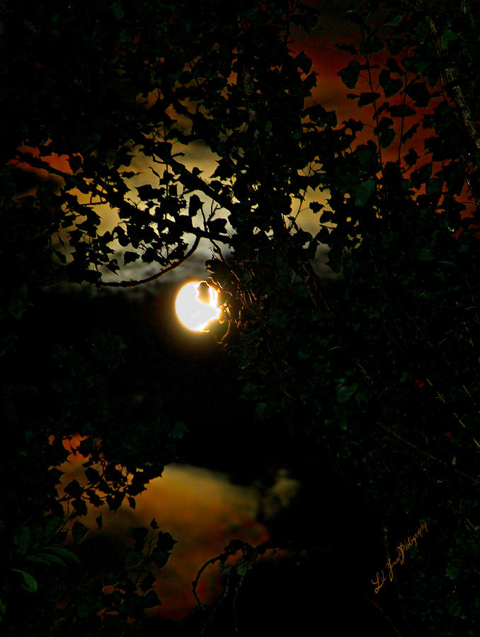 Haunting Moon III Photograph by Jeanette C Landstrom