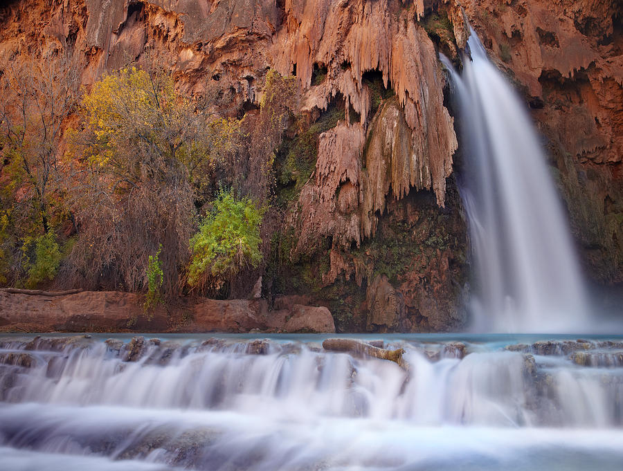 Havasu Falls Grand Canyon Arizona Photograph by Tim Fitzharris