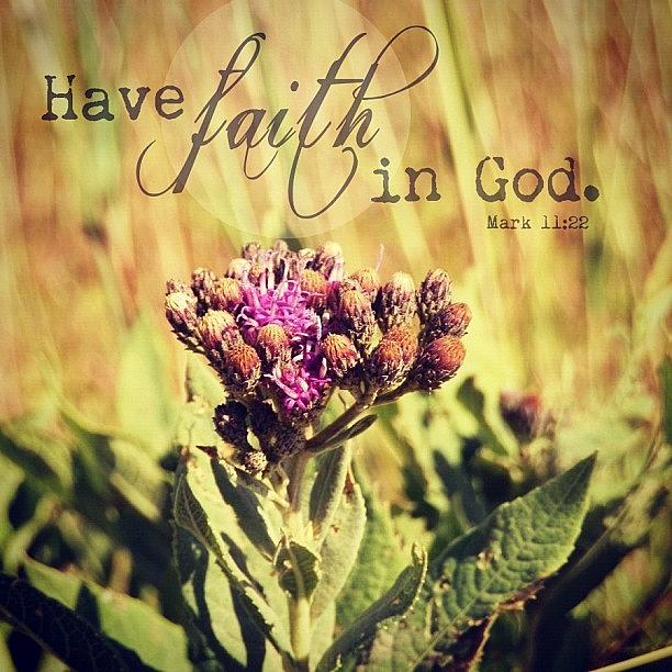 have Faith In God. Mark 11:22 Photograph by Traci Beeson