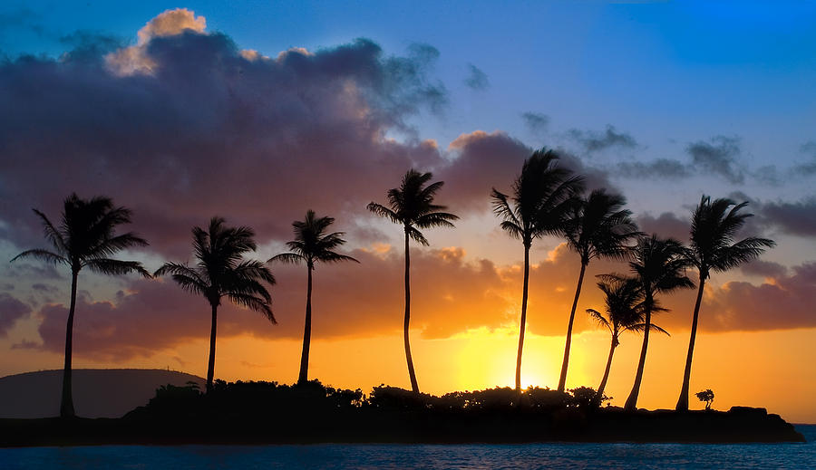 Hawaii Sunset Silhouette Photograph by Dave Dilli