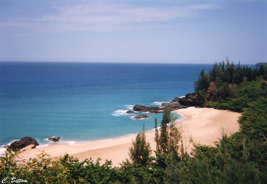 Hawaiian Breeze Photograph by C Sitton