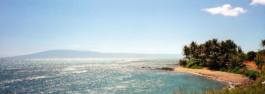 Hawaiian Coastal View Photograph by C Sitton
