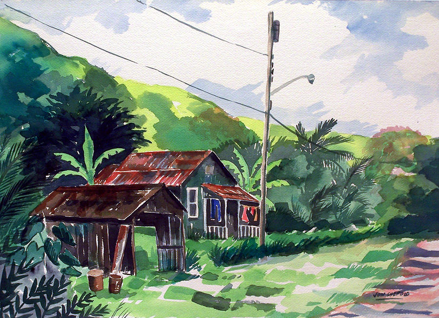 Hawaiian Home Painting by Jon Shepodd Hawaiian Home Painting by Jon Shepodd
