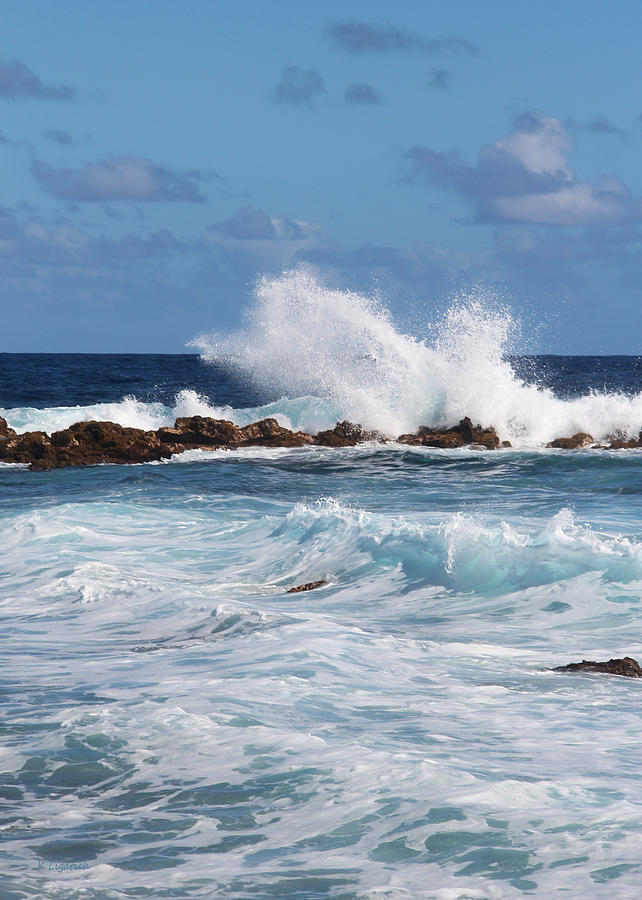 Hawaiian Shore Break  Photograph by Kerri Ligatich
