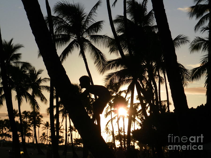 Hawaiian Sunset Photograph by Dawn Hough Sebaugh