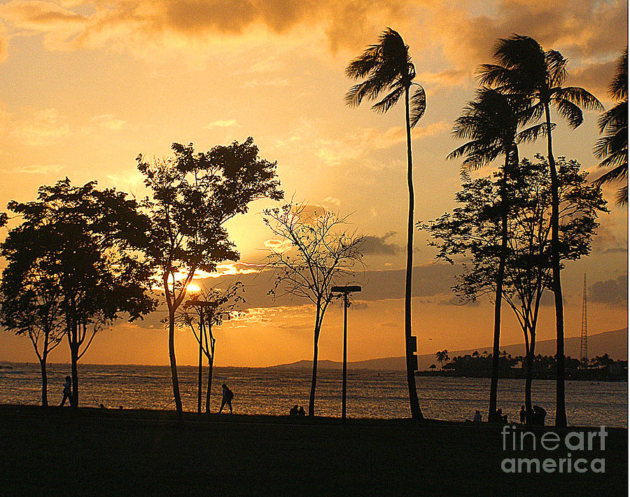 Hawaiian Sunset Photograph by Louise Peardon