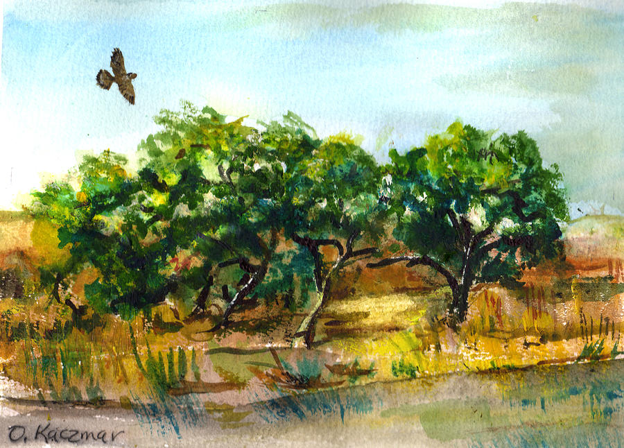 Hawk on Alderbrook Painting by Olga Kaczmar