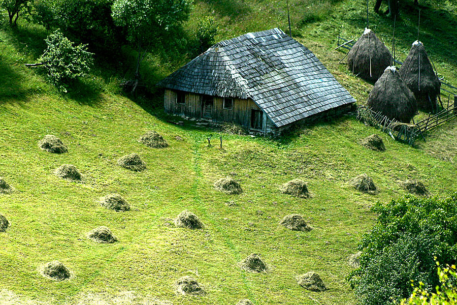 Hay and hut Photograph by Emanuel Tanjala