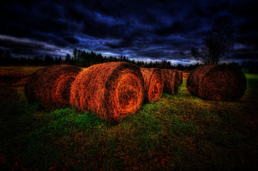 Hay Photograph by Prince Andre Faubert