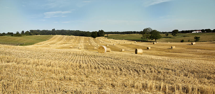Hay Bale Field Photograph by Nick Mares