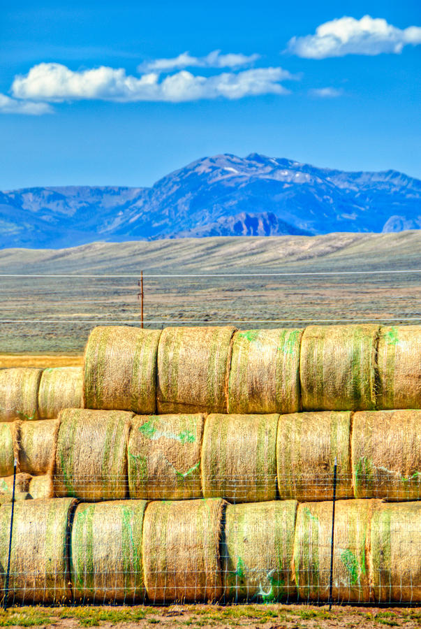 Hay Bale Mountain Photograph by Harry Strharsky
