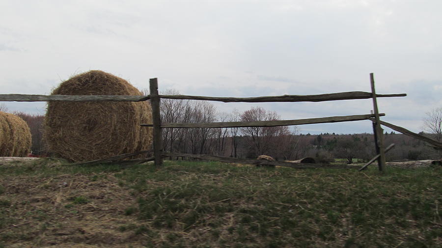 Hay Bales Along the Fence Photograph by Loretta Pokorny