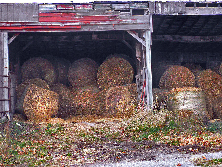 Hay Bales Photograph by Nancy Griswold