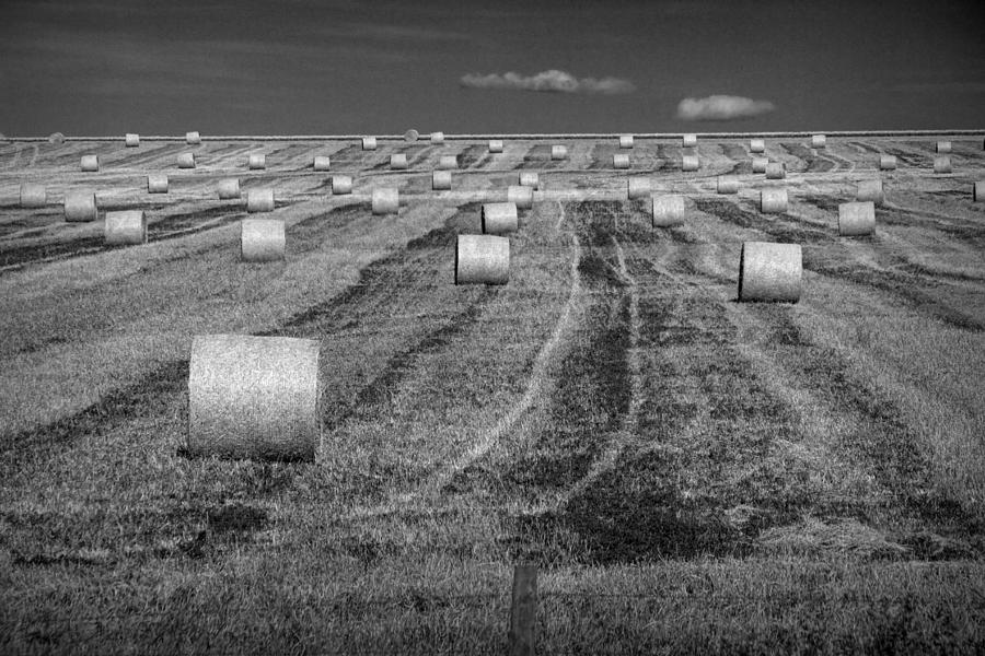 Black And White Photograph - Hay Bales on a Farm in Alberta by Randall Nyhof